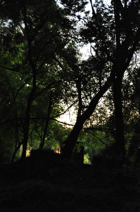 O fim de tarde dá um clima ainda mais misterioso às ruínas da Missão de Santa Ana, próximo à San Ignacio Mini, na Argentina